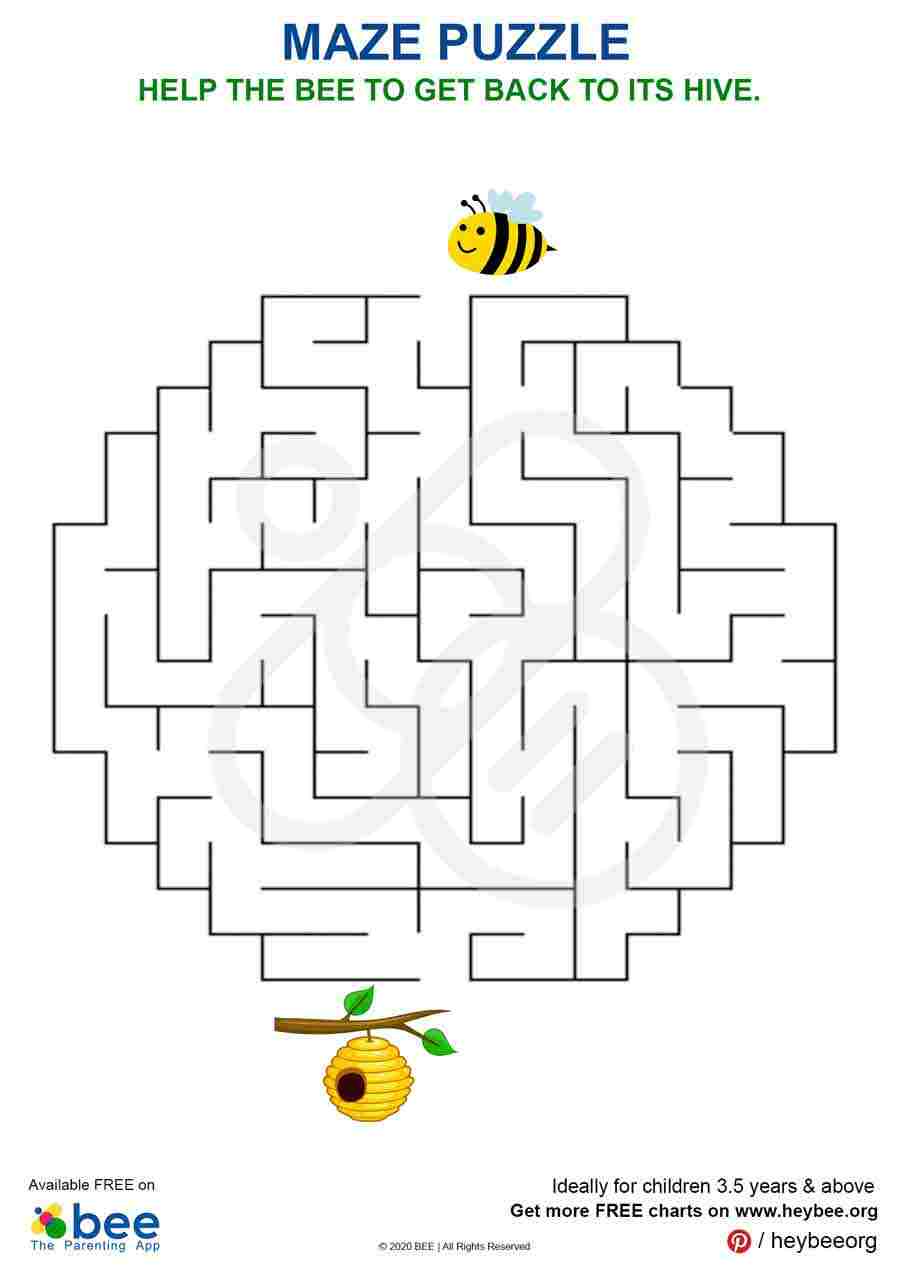 Bee Hive Maze Puzzle