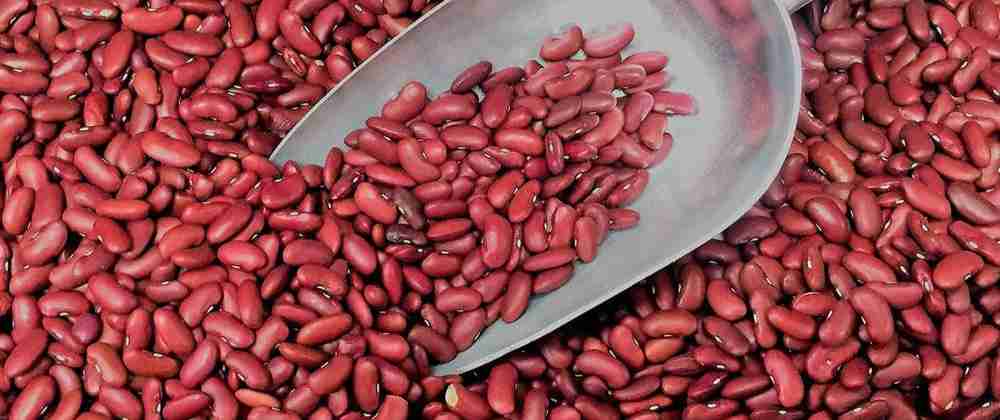 Kidney Beans Amazing Facts