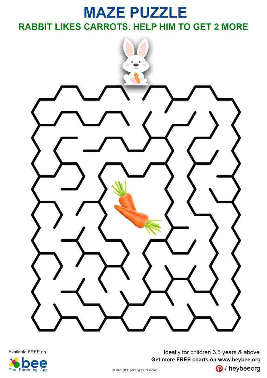 Rabbit Carrot Maze Puzzle
