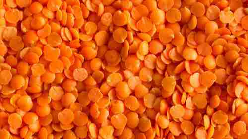 Red Lentils  Amazing Facts