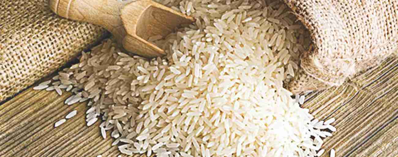 Rice Amazing Facts