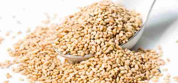 Sesame seeds Amazing Facts