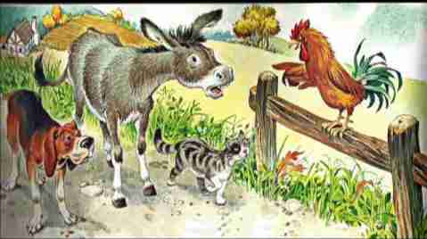The donkey, the dog, the cat, and the rooster