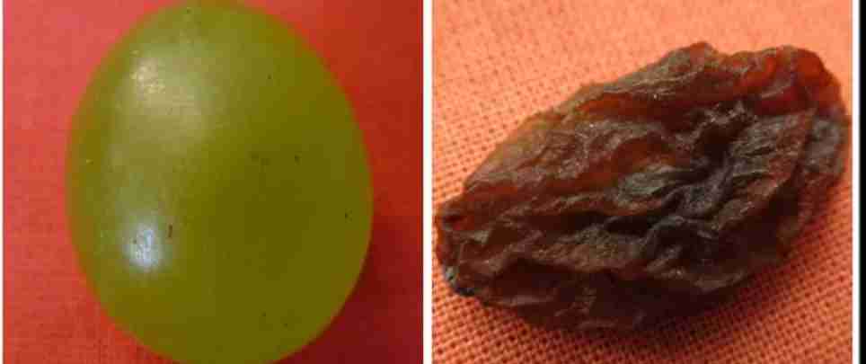 Turning grapes into raisins