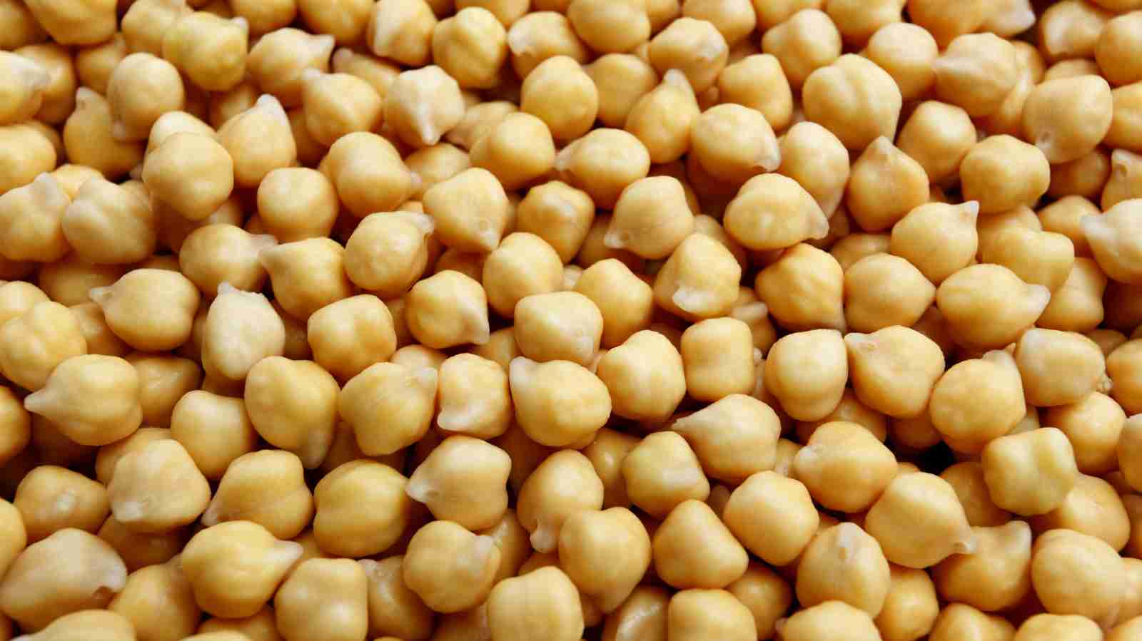 White Chickpea Amazing Facts
