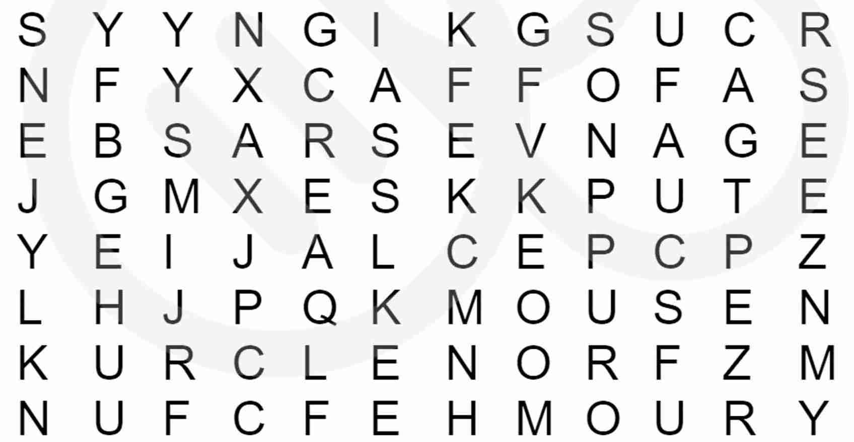 Word search/ Word find