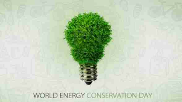 How to celebrate World Energy Conservation Day with kids - Practical ideas