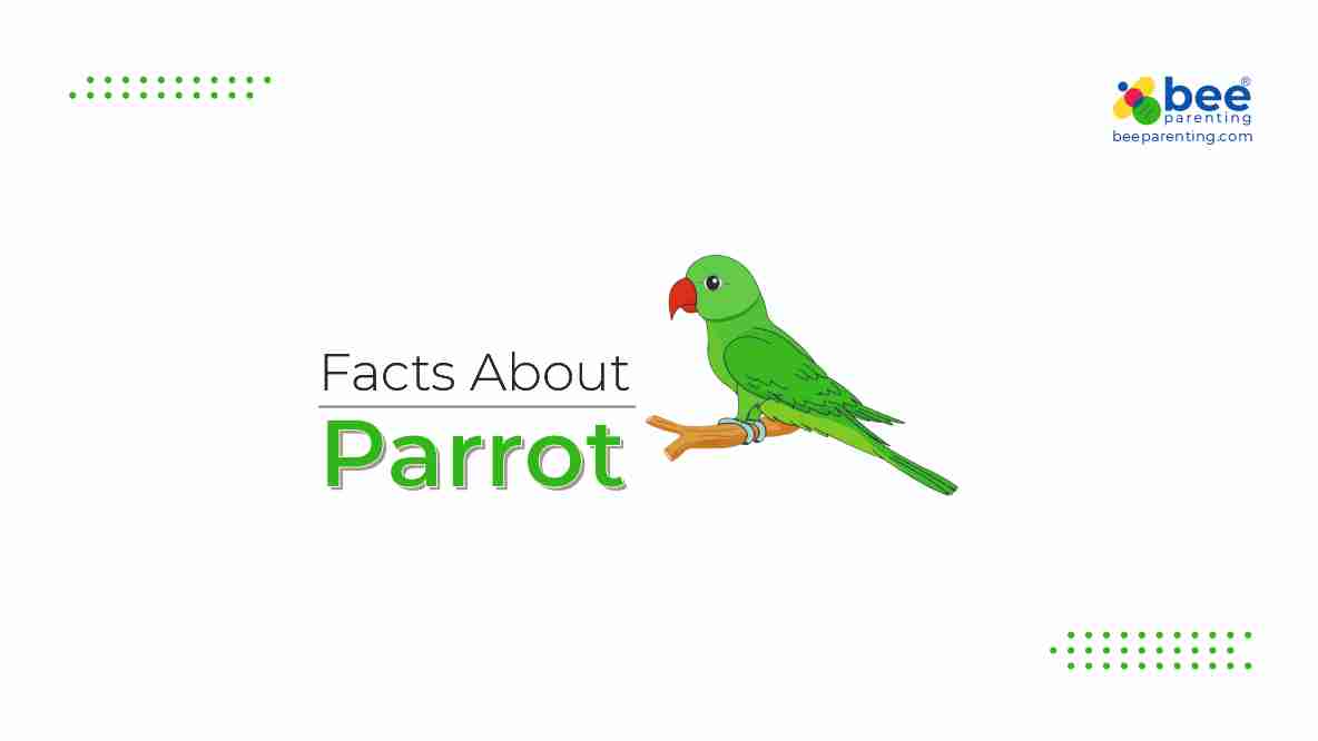 Parrot GK Facts for Children