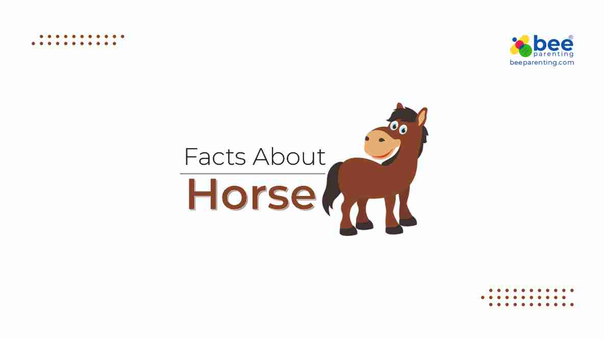 Horse GK facts for children