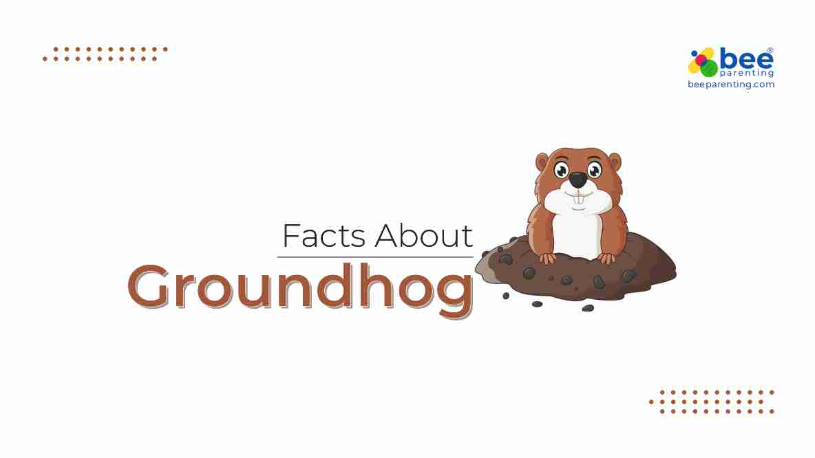 Groundhog Amazing Facts