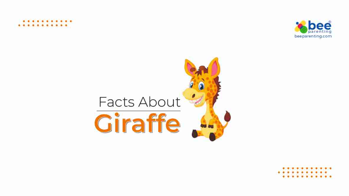 Giraffe Amazing Facts