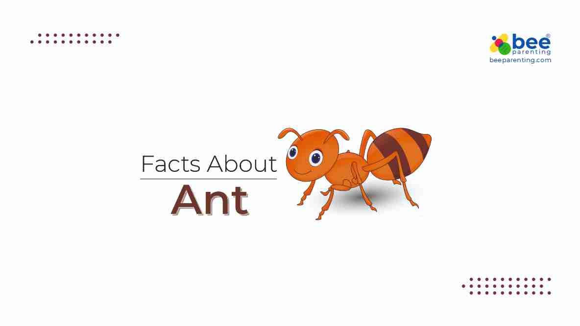 Ant GK Facts for Children