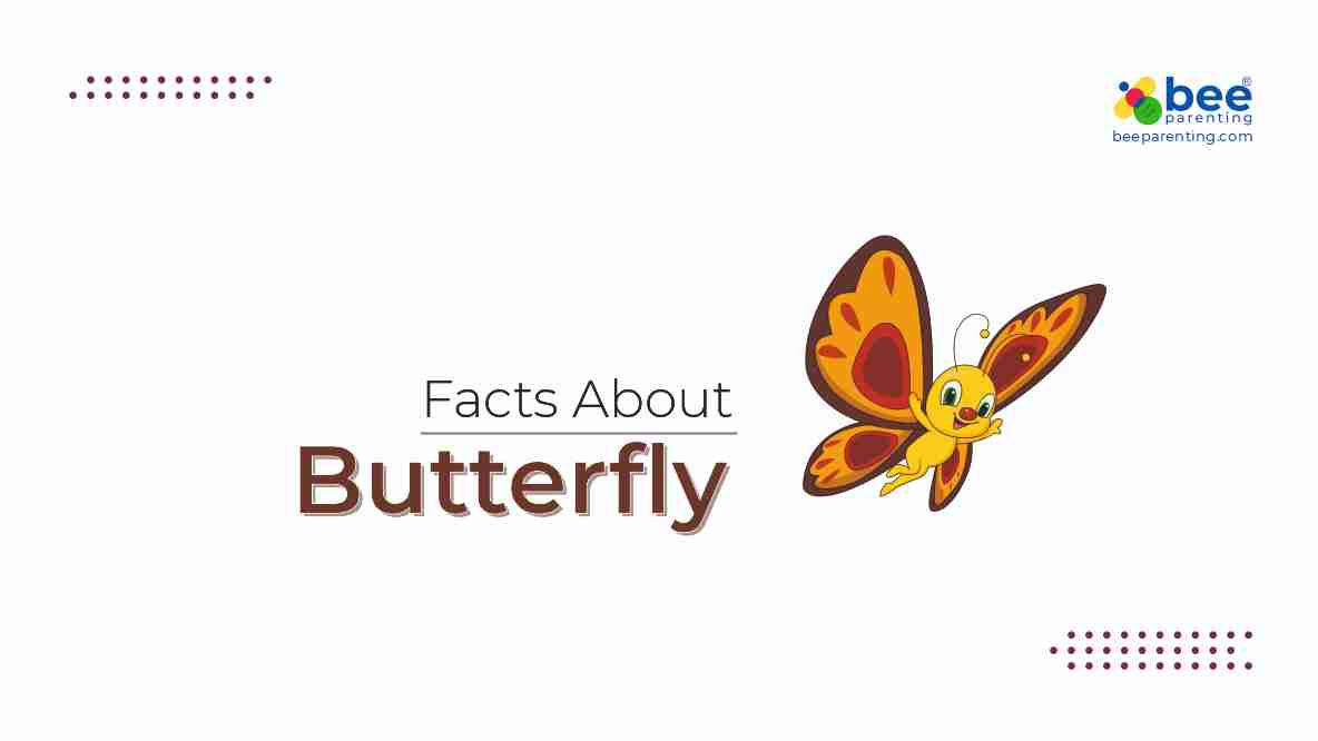 Butterfly GK Facts for Children