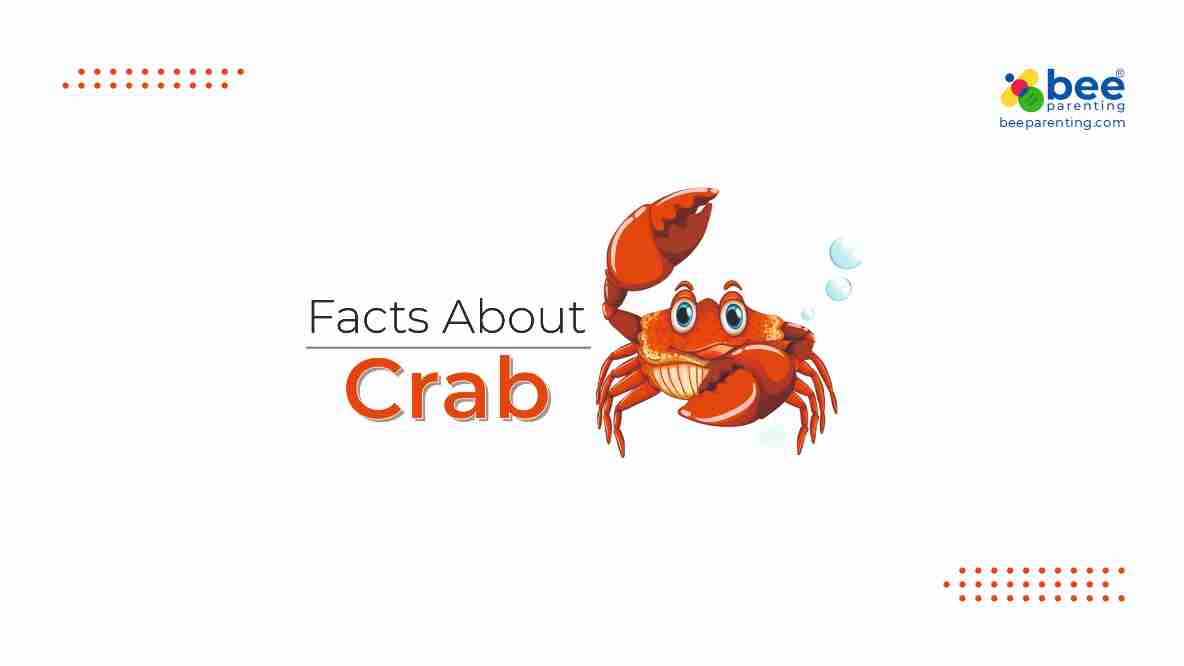 Crab General knowledge facts for Kids | Water Animals Facts | GK Facts |  Bee Parenting