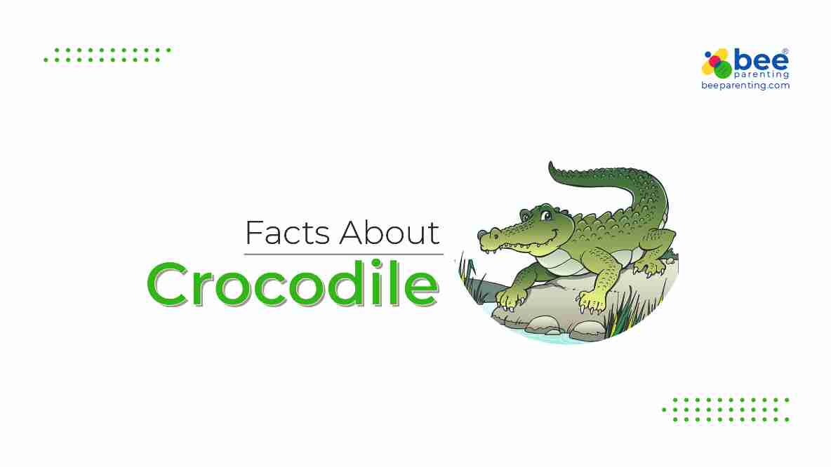Crocodile GK Facts for Children