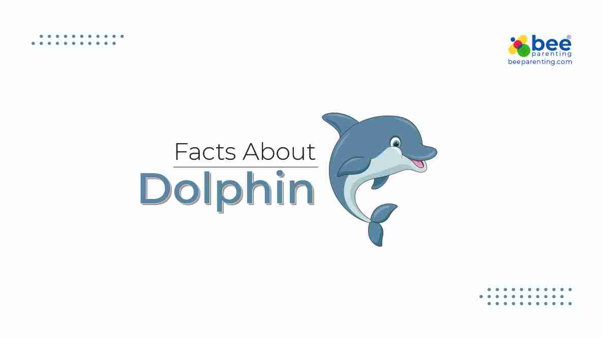 Dolphin General knowledge facts for Kids | Water Animals Facts | GK Facts |  Bee Parenting