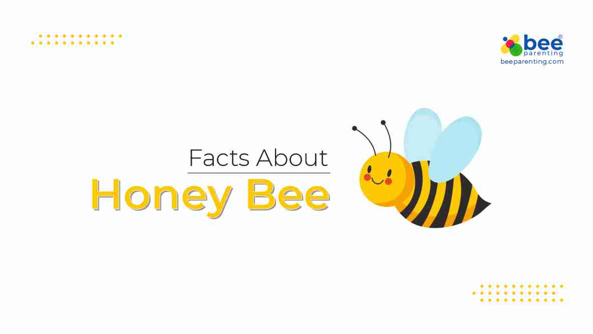 Honey Bee GK Facts for Children