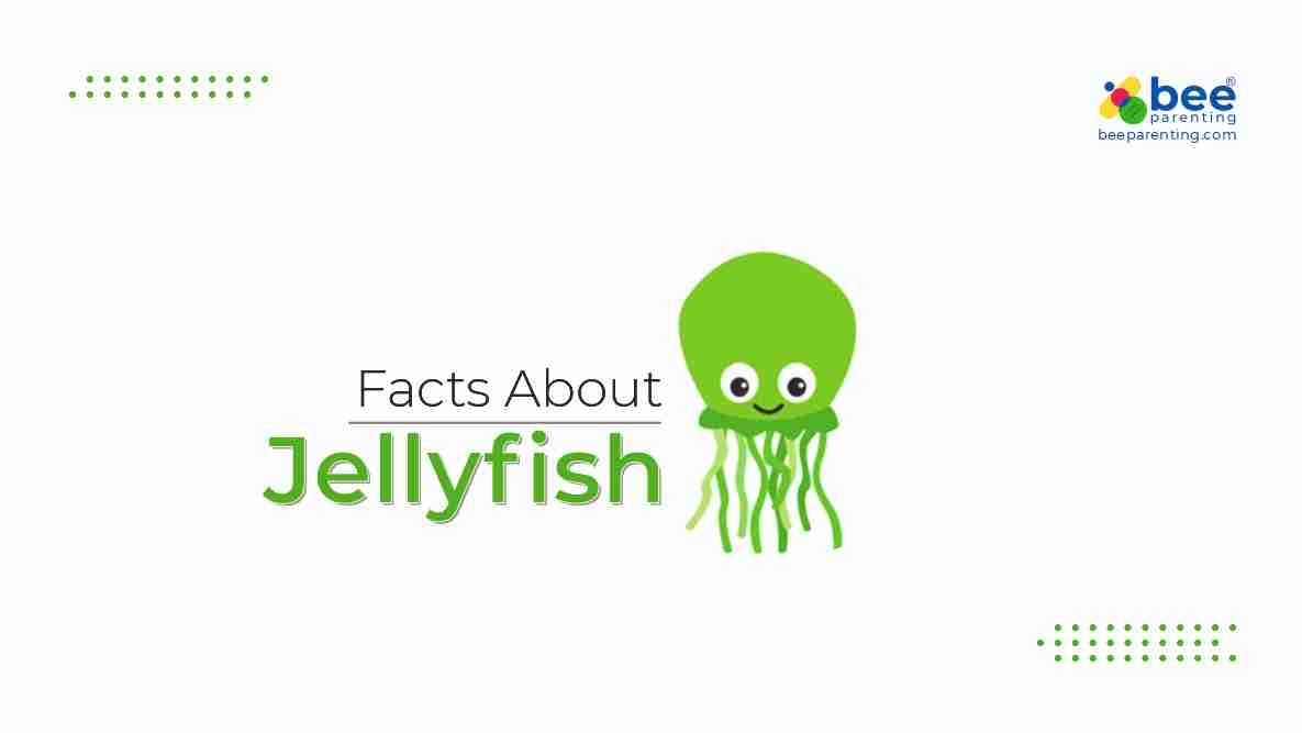 Jellyfish GK Facts for Children