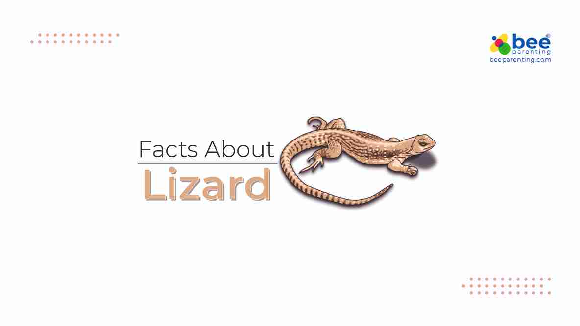 Lizard GK Facts for Children