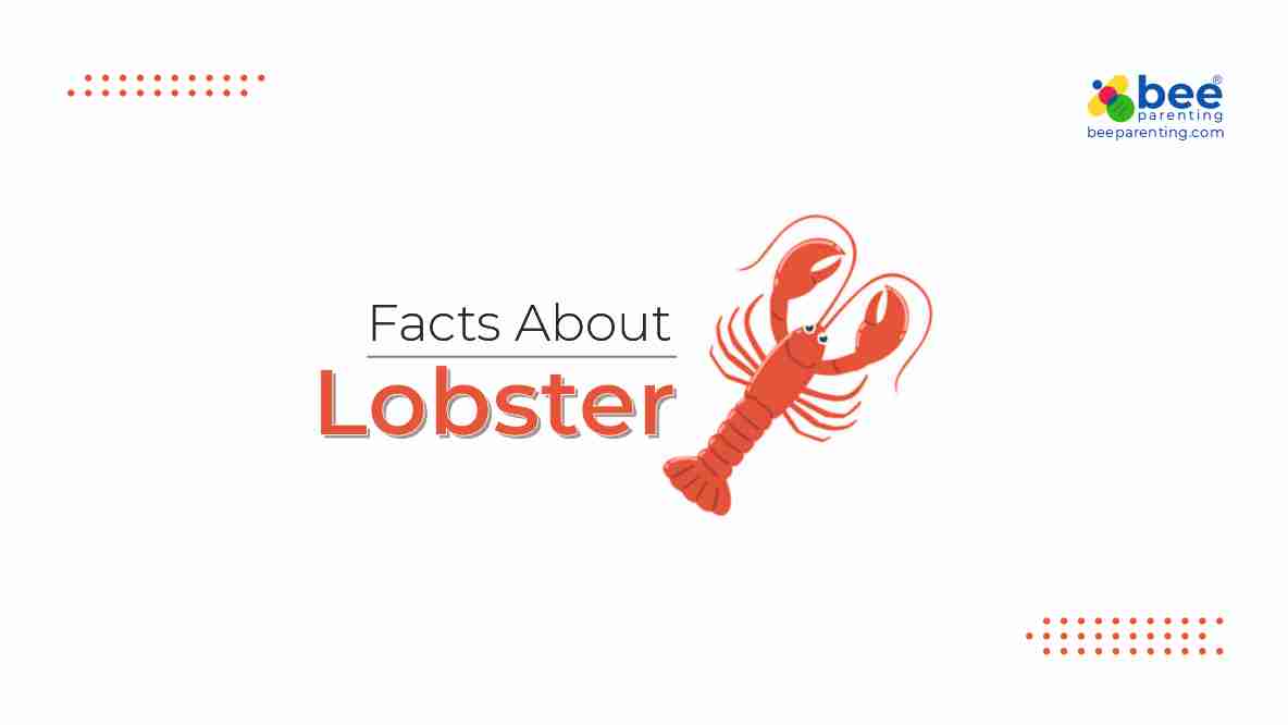 Lobster GK Facts for Children