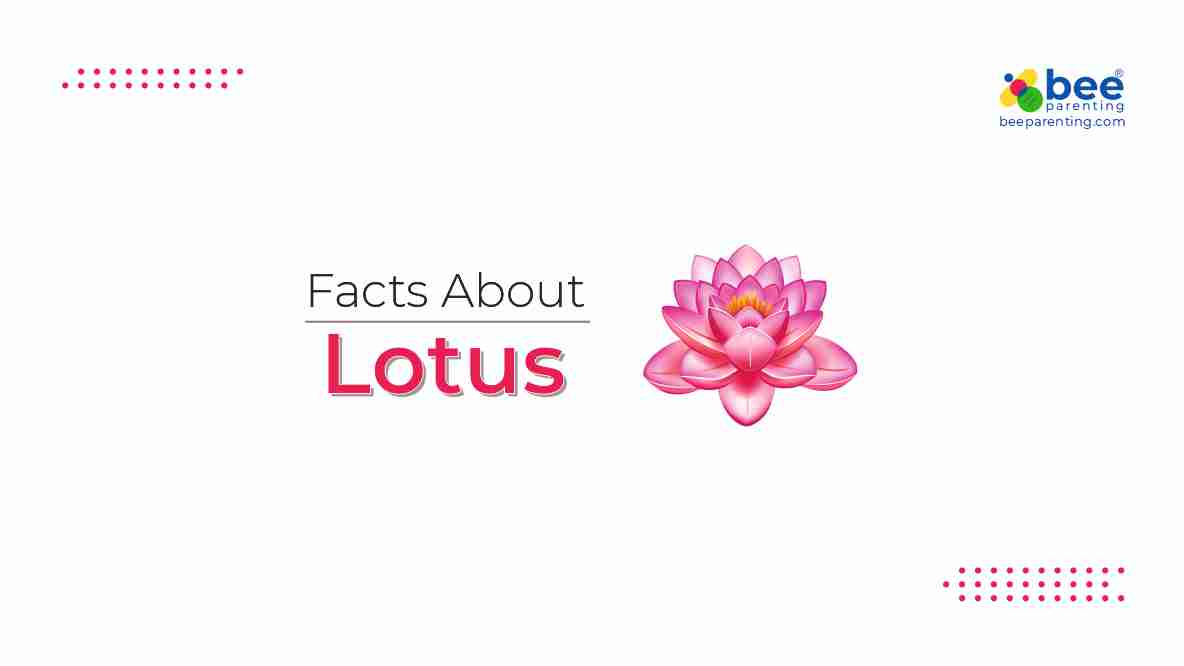 Lotus GK Facts for Children
