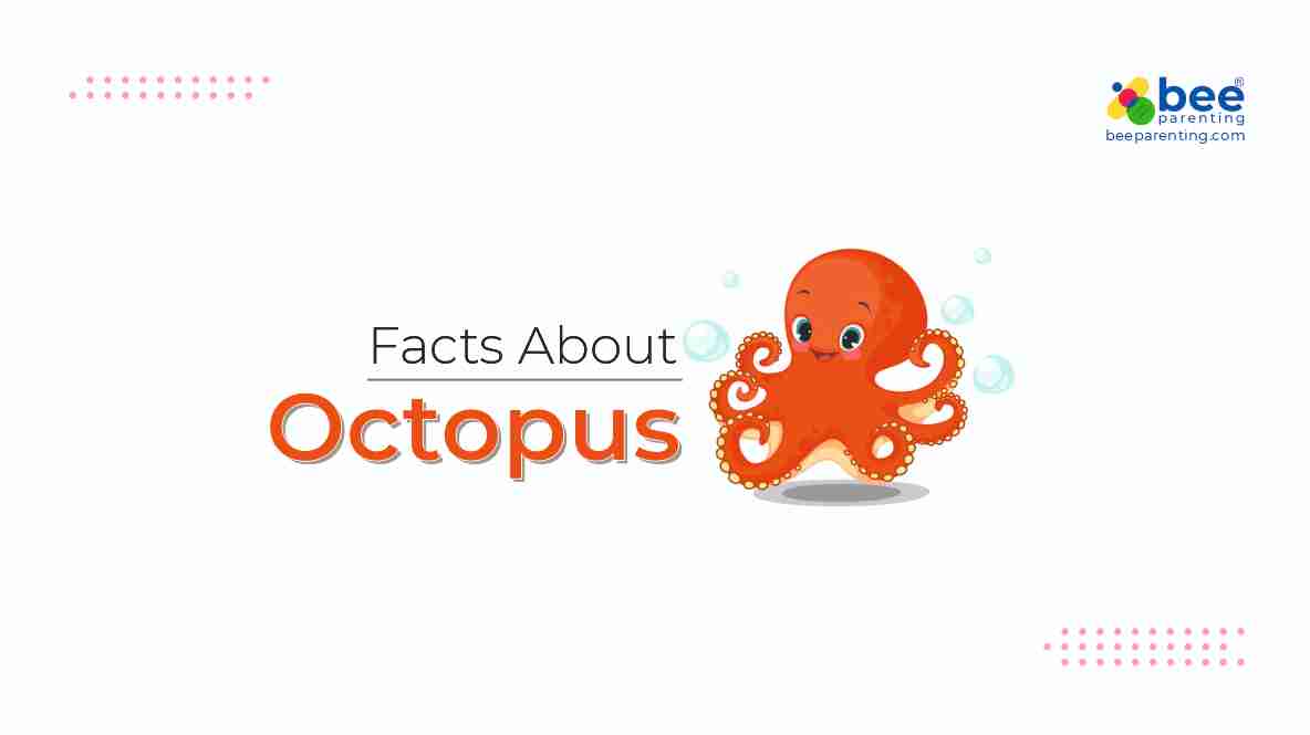 Gigantic Octopus General Knowledge Facts | Water Animals Facts | GK Facts |  Bee Parenting