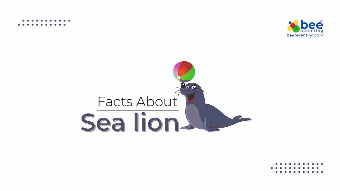 Sea lion GK Facts for Children