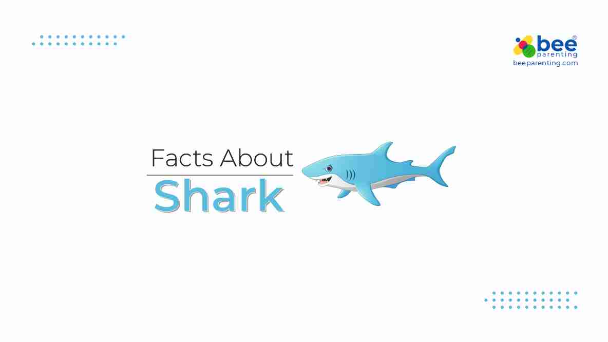 Shark GK Facts for Children