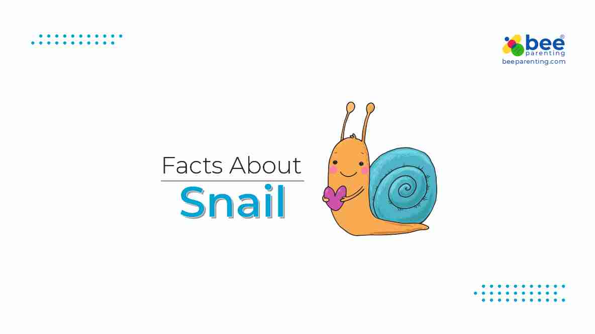 Snail GK Facts for Children