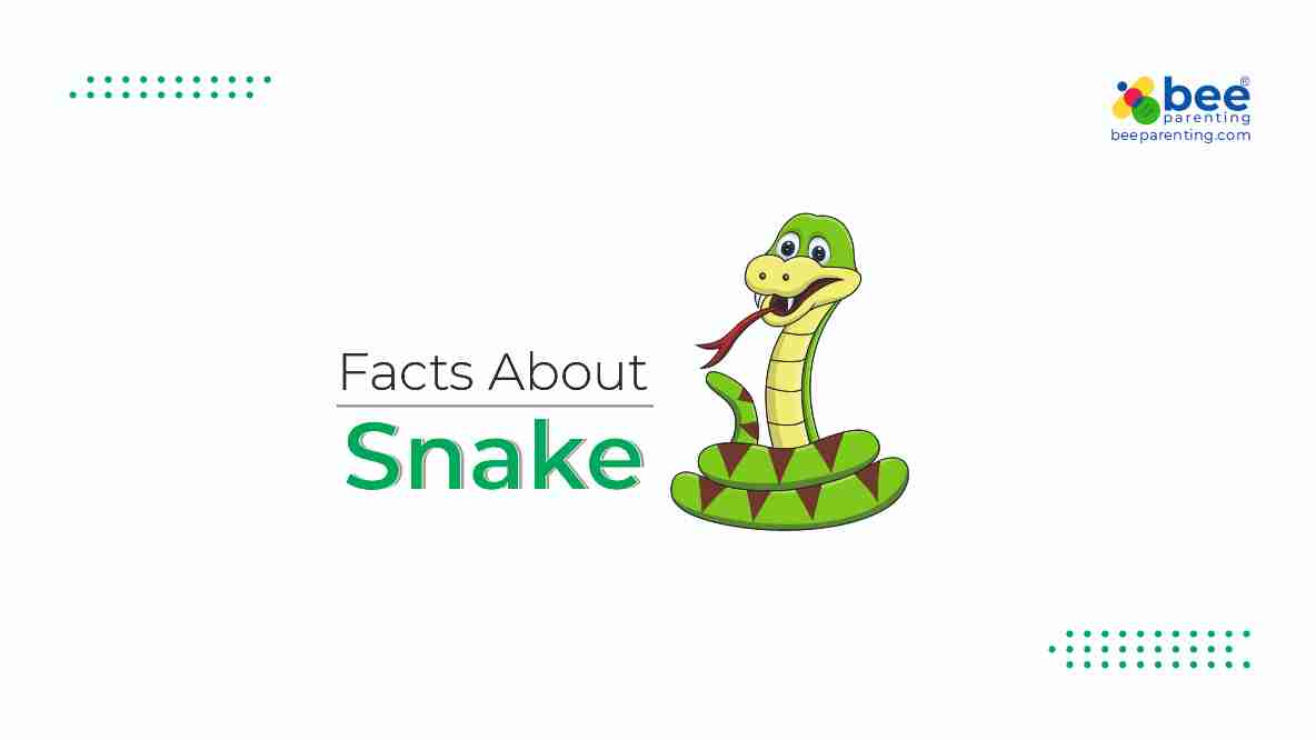 Snake GK Facts for Children
