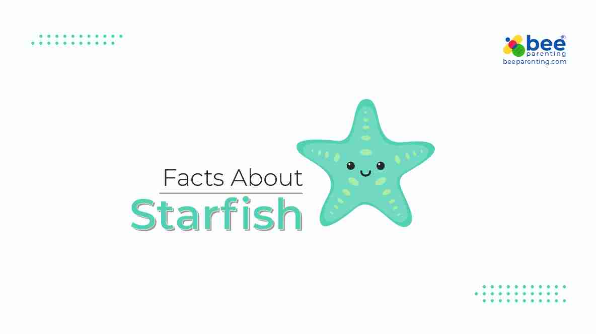 Starfish GK Facts for Children