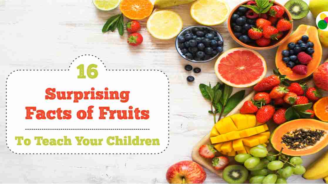 Surprising Facts of Fruits