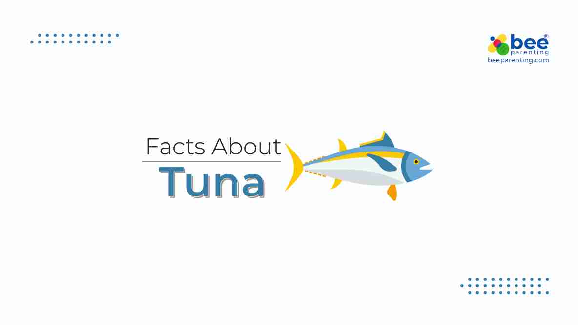 Tuna Exciting General Knowledge Facts | Water Animal Facts | GK Facts | Bee  Parenting