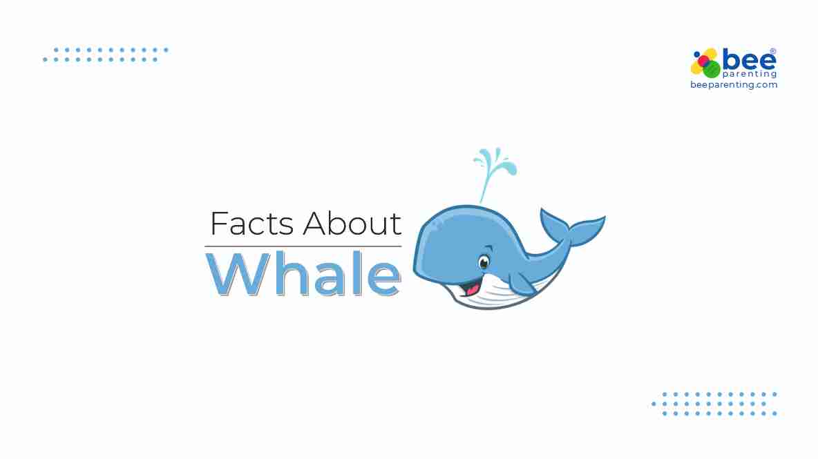 Whale General knowledge facts for Kids | Water Animals Facts | GK Facts |  Bee Parenting